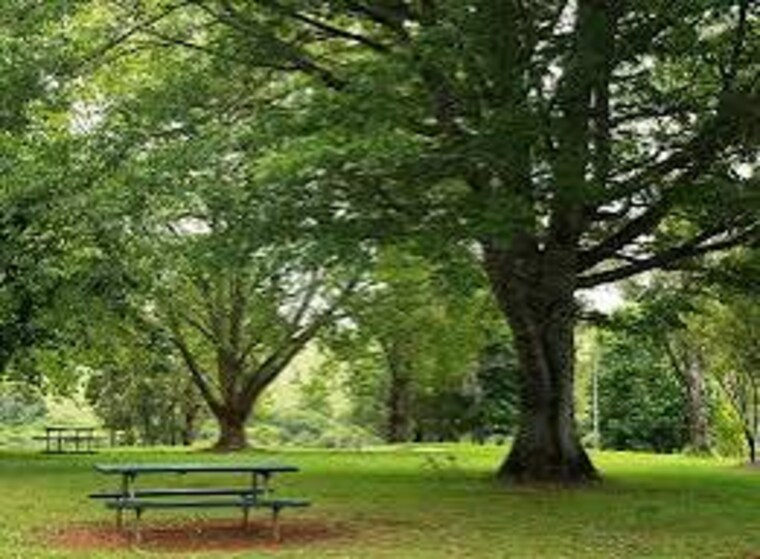 Garden, kamal-park-bhandup 1 Bedroom 455 Sq.Ft. Apartment In Bhandup West Mumbai 8858433