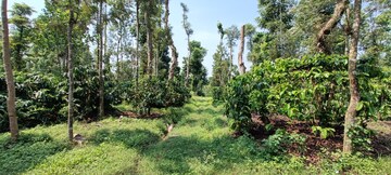  Land – Exterior View View at Sakleshpur - for Sale
