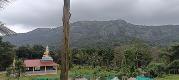  Land – Exterior View View at Sakleshpur - for Sale