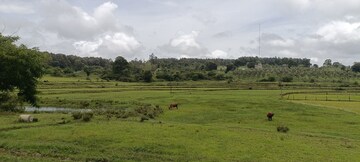  Land For Sale in Sakleshpur