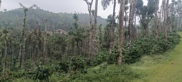 Plot Area in  Land at Sakleshpur – for Sale