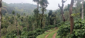  Land – Exterior View View at Sakleshpur - for Sale