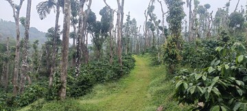  Land – Exterior View View at Sakleshpur - for Sale