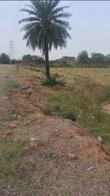  Land For Rent in Softa