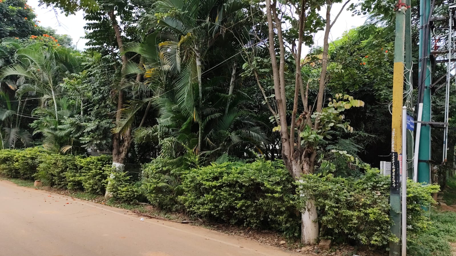 Plot For Sale in Asha Township Doddagubbi