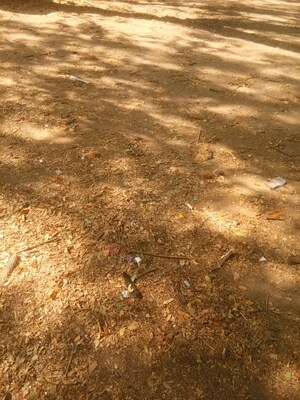  Plot For Sale in Manish Nagar