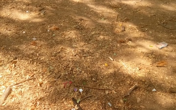Plot For Sale in Manish Nagar