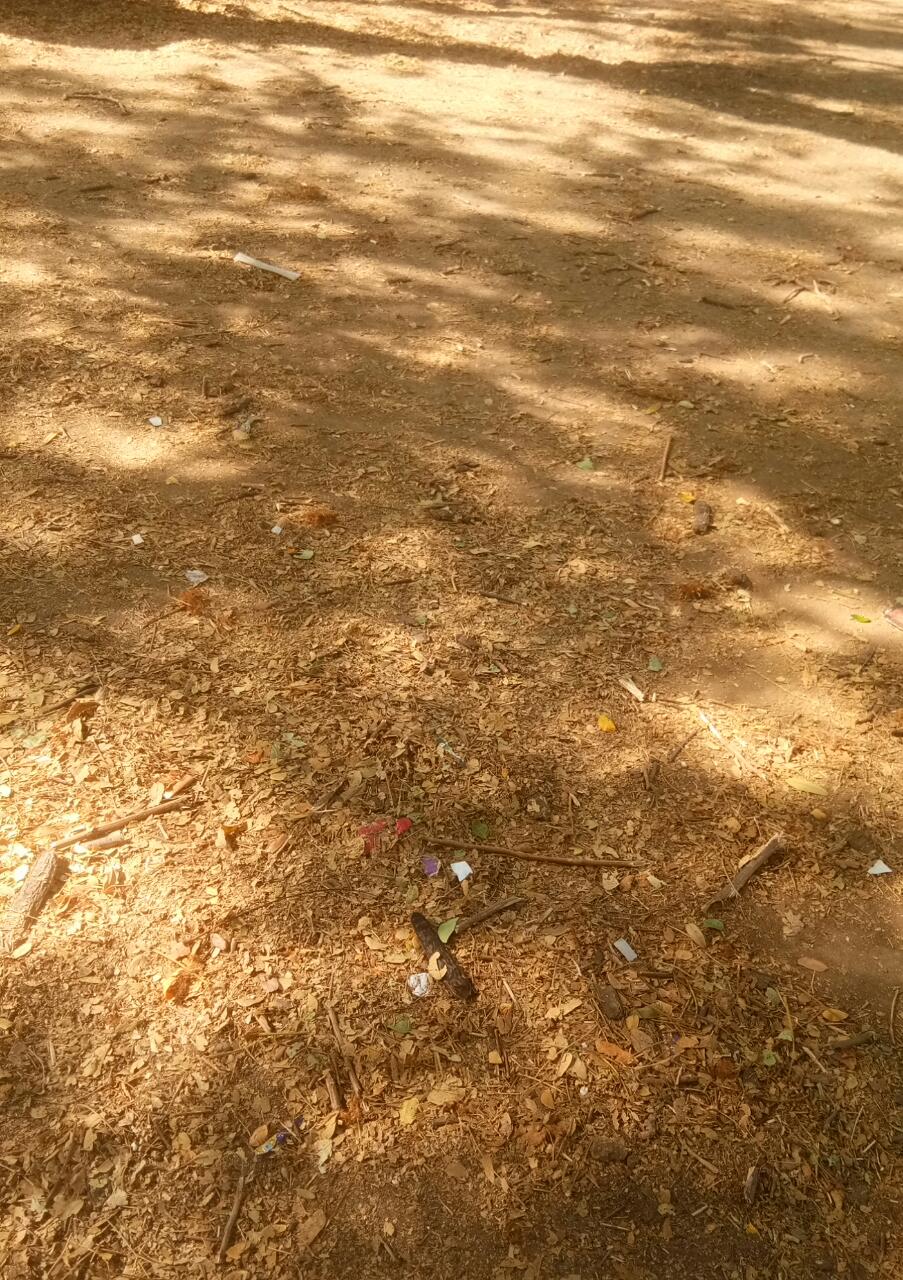 Plot For Sale in Shree Shyam Properties