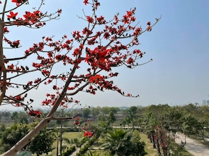  Plot – Map Location View at Zestha Bhagirath Vihar Residency, Sector 27 Yamuna Expressway - for Sale