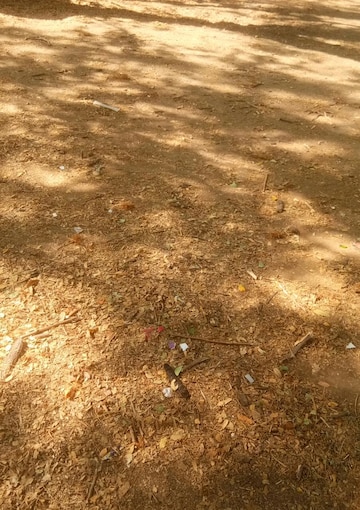  Plot For Sale in Manish Nagar