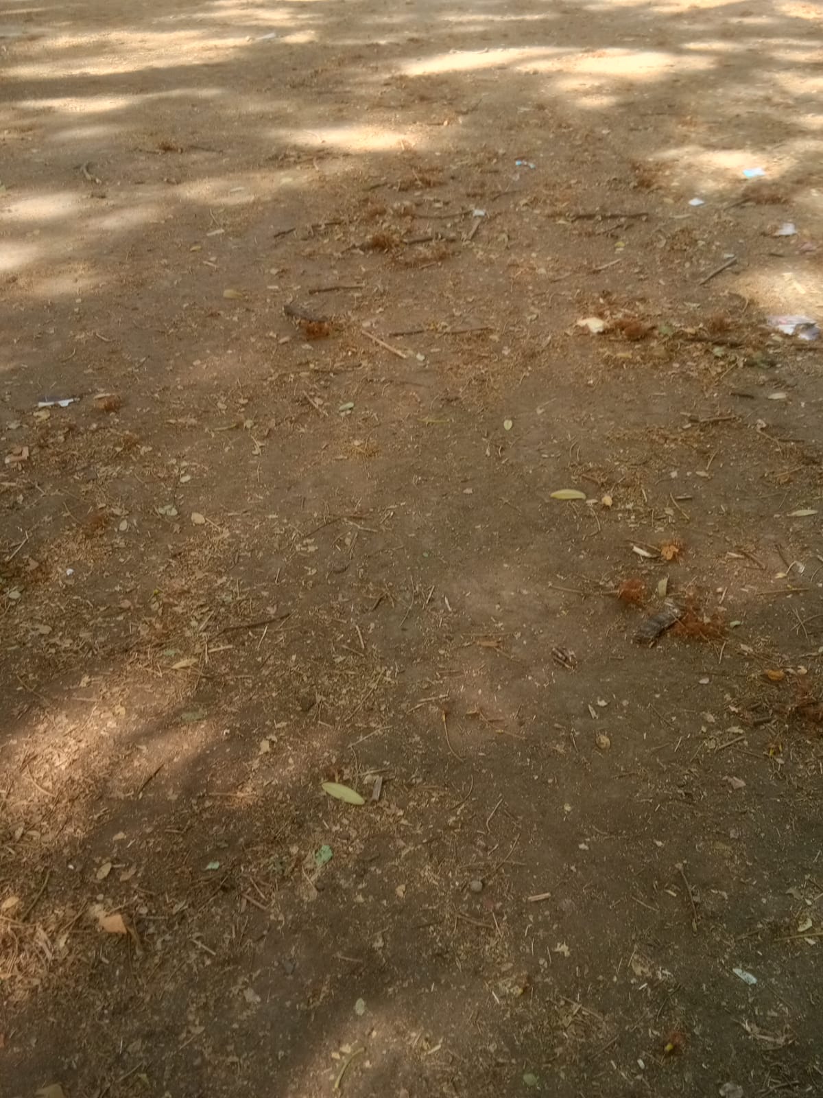 Plot For Sale in Shree Shyam Properties