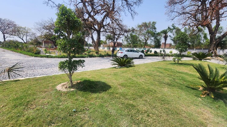 Garden, mohanlalganj  1000 Sq.Ft. Plot In Mohanlalganj Lucknow 8858944