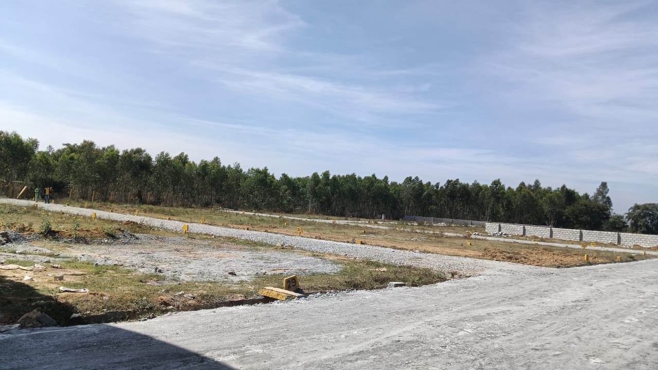 Plot For Sale in Pacific Golf Estate