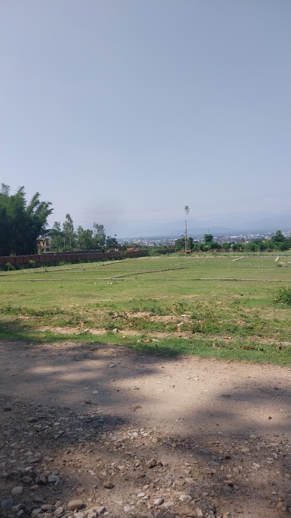 Plot For Sale in Badowala
