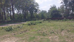 Plot Area in  Plot at Shimla Bypass Road – for Sale