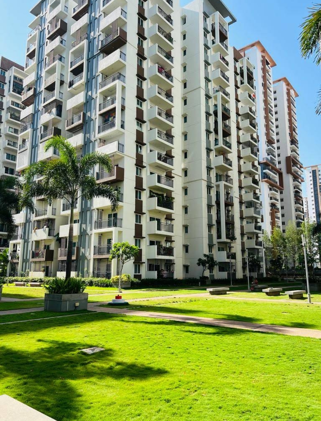 3 BHK Apartment For Rent in Aparna Sarovar Zenith