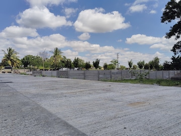 Plot Area in  Plot at Bakori – for Sale