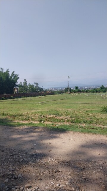  Plot For Sale in Badowala