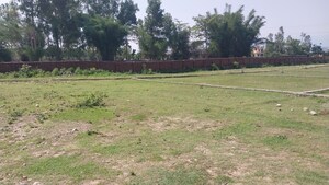Plot Area in  Plot at Badowala – for Sale