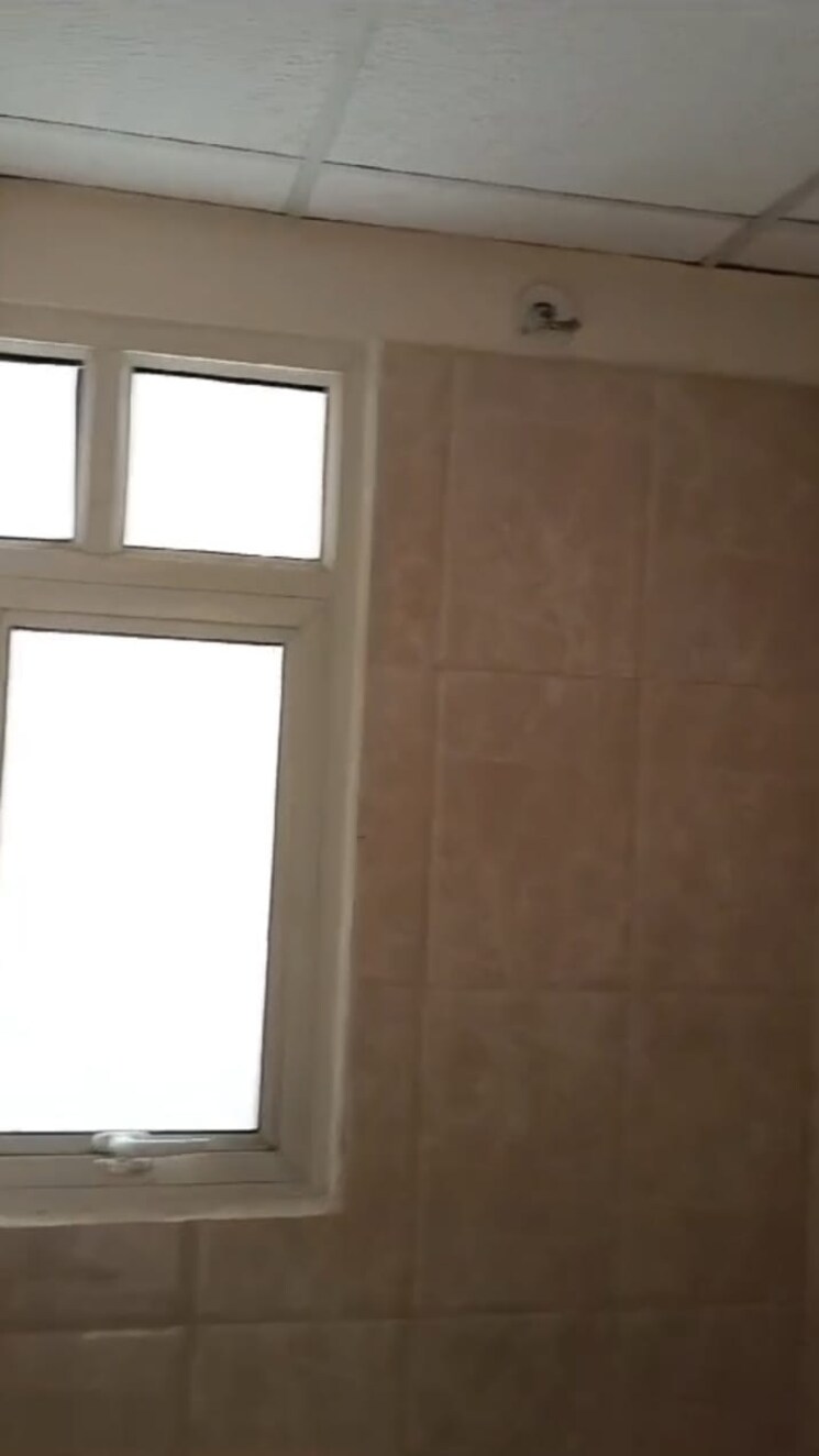 Room, wave-executive-floors 2 Bedroom 900 Sq.Ft. Apartment In Wave City Ghaziabad 8859677