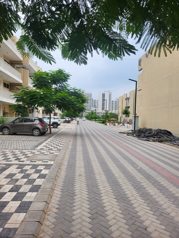 3 BHK Builder Floor For Rent in TDI The Grand Retreat, Sector 88