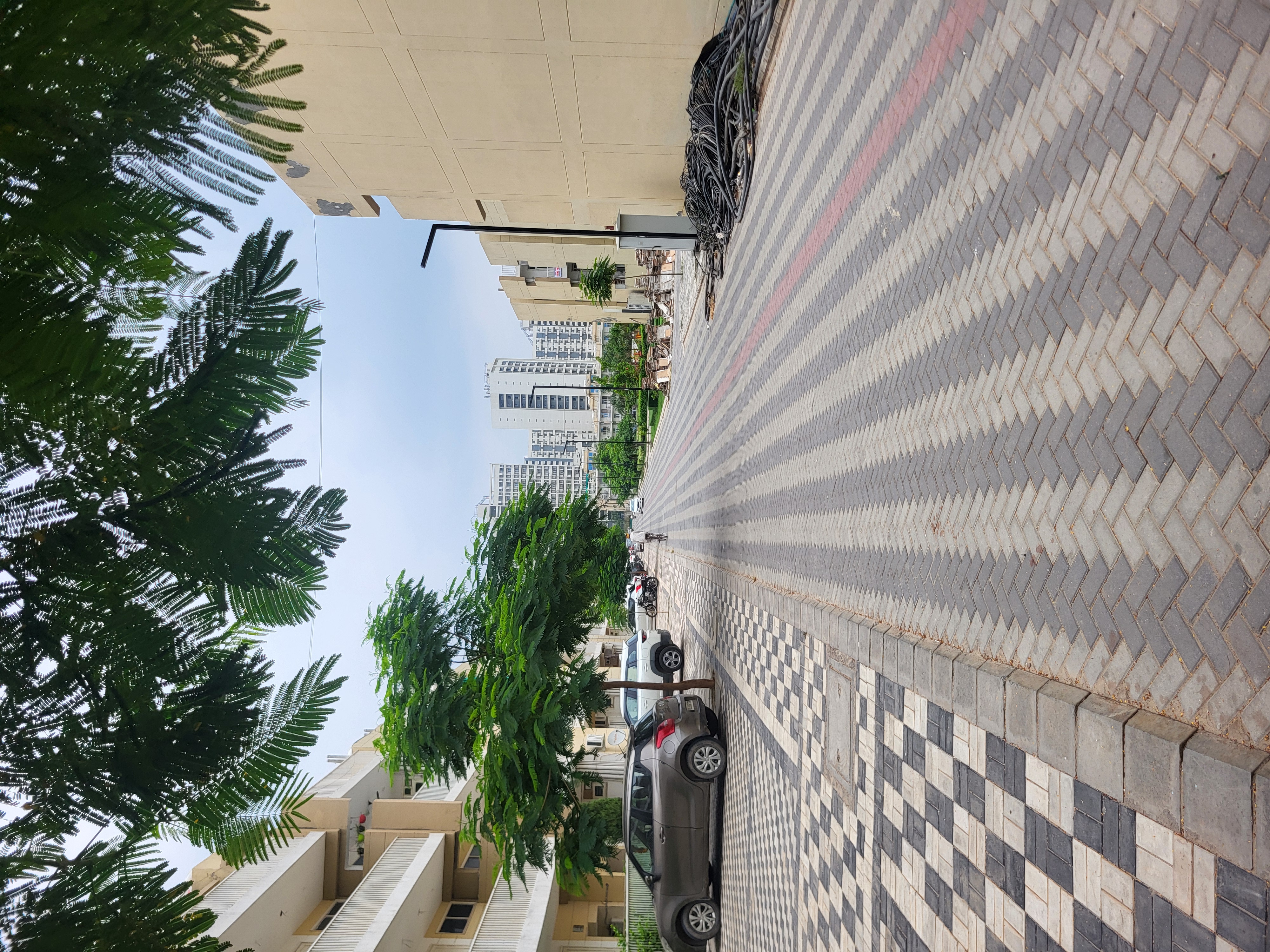 3 BHK Builder Floor For Rent in TDI The Grand Retreat