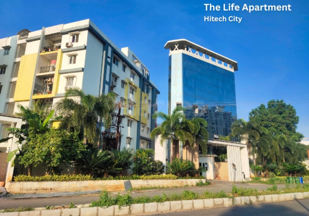 3 BHK Apartment For Rent in The Life Apartment 