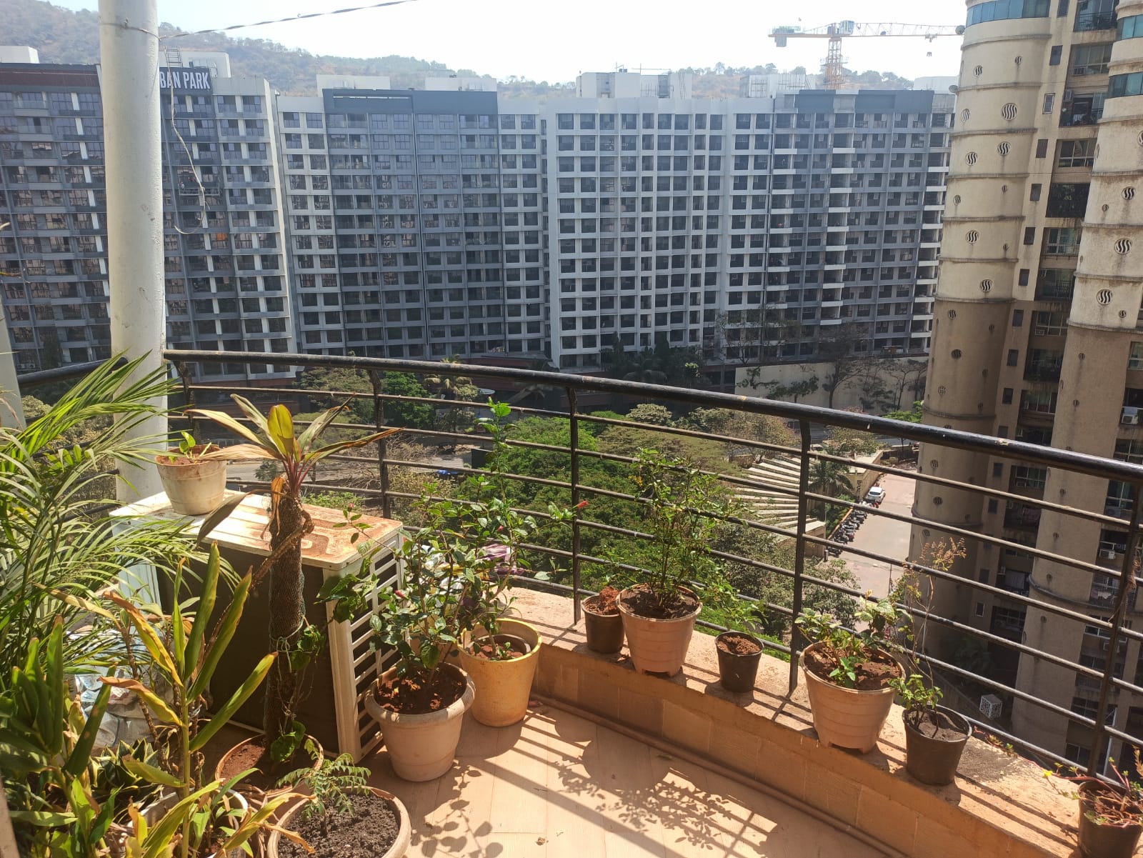 2 BHK Apartment For Sale in Zara Apartment