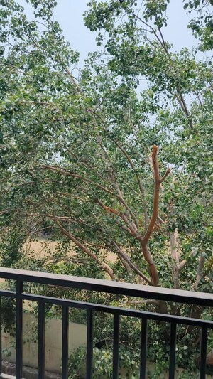 2 BHK Builder Floor For Sale in Chittaranjan Park