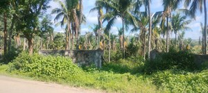  Plot – Garden View at Doddakammanahalli - for Sale