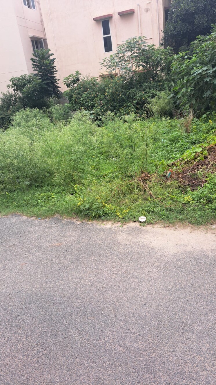 undefined, doddakammanahalli  1200 Sq.Ft. Plot In Doddakammanahalli Bangalore 8860385