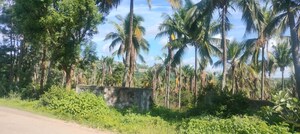  Plot – Garden View at Doddakammanahalli - for Sale