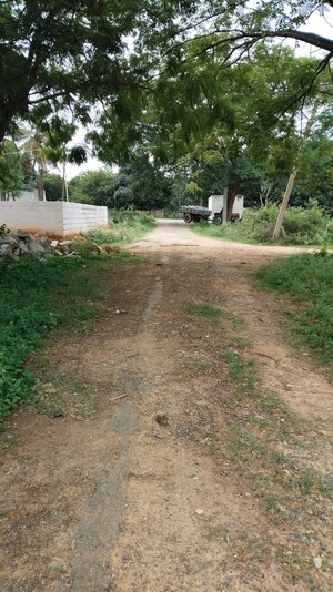 Plot Area in  Plot at Doddakammanahalli – for Sale