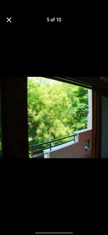Balcony in 2 BHK Builder Floor at Sarvapriya Vihar – for Rent