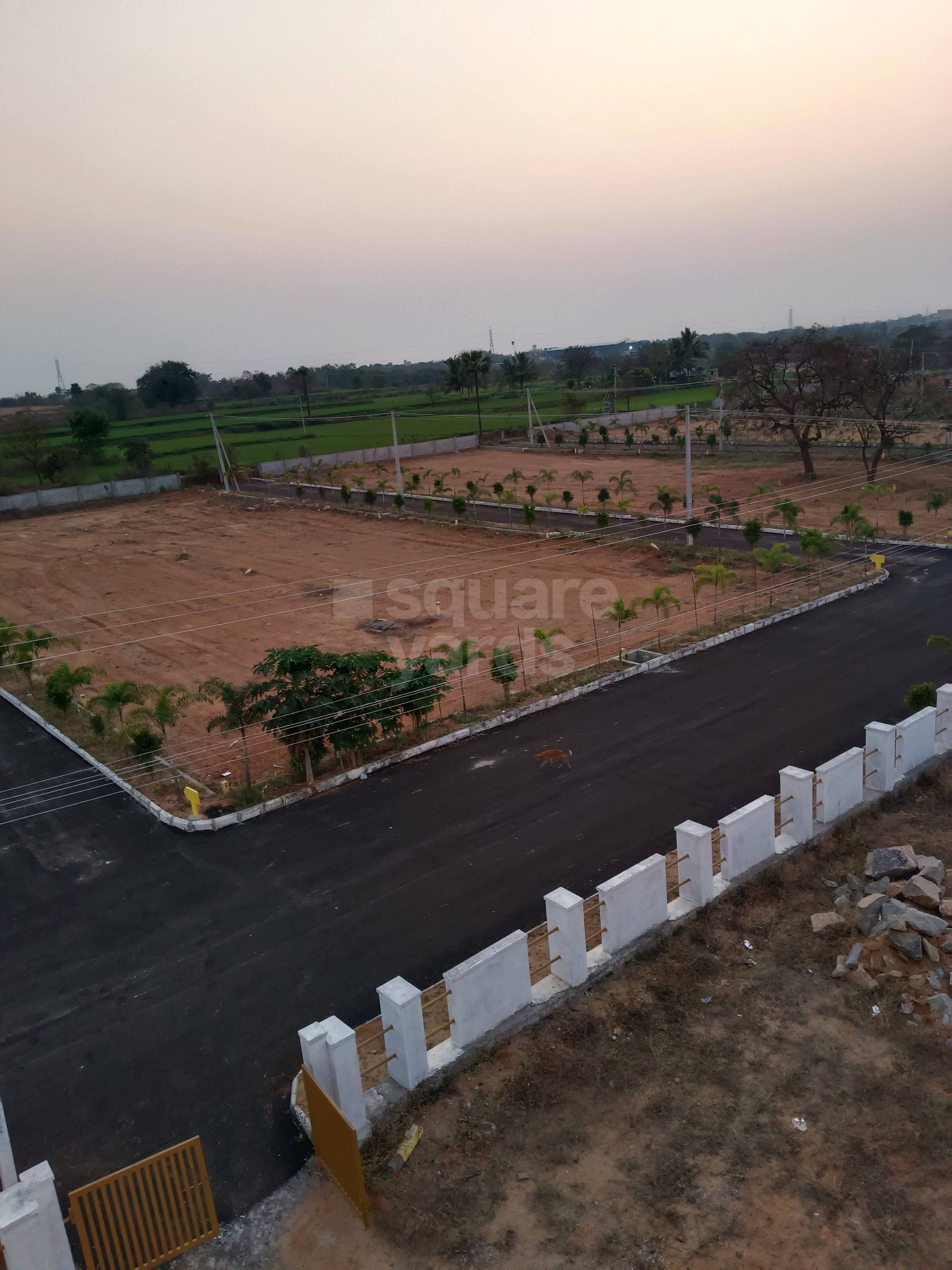 Plot For Sale in Dollar Hills