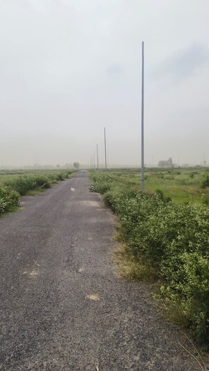  Plot – Exterior View View at YEIDA Plots, Dankaur - for Sale