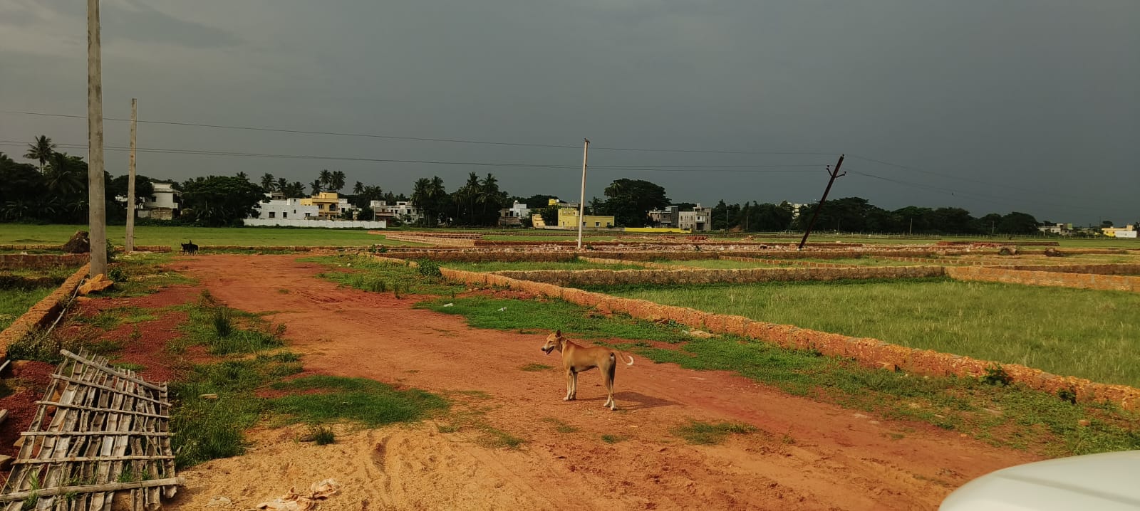 Plot For Sale in Safety Land Project, Patr