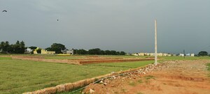 Plot Area in  Plot at Sijua – for Sale