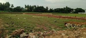 Plot Area in  Plot at Sijua – for Sale