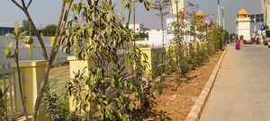  Land – Garden View at Jagatpura - for Sale