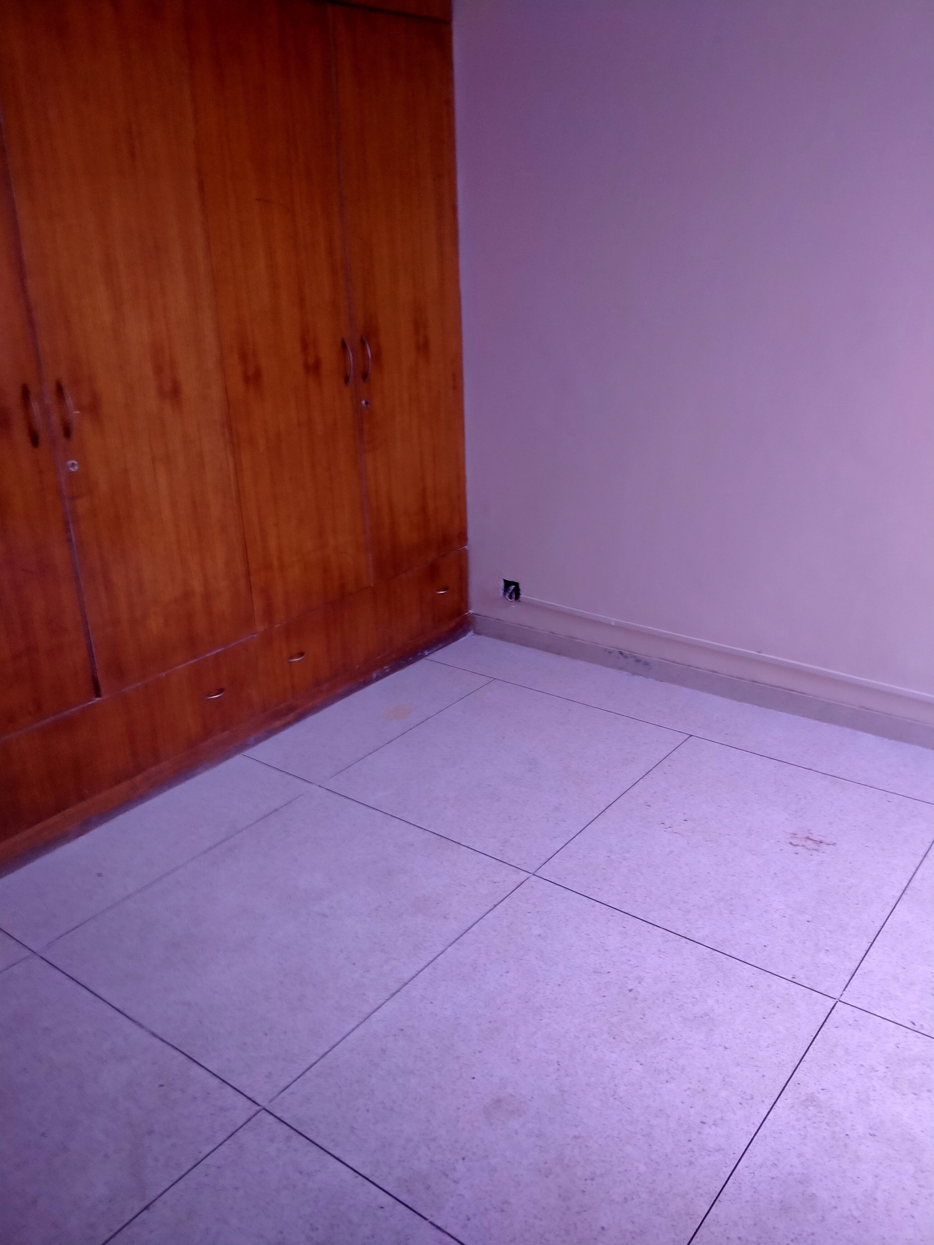 3 BHK + Servant Room,Extra Room 1443 Sq.Ft. Apartment in DLF Ridgewood Estate