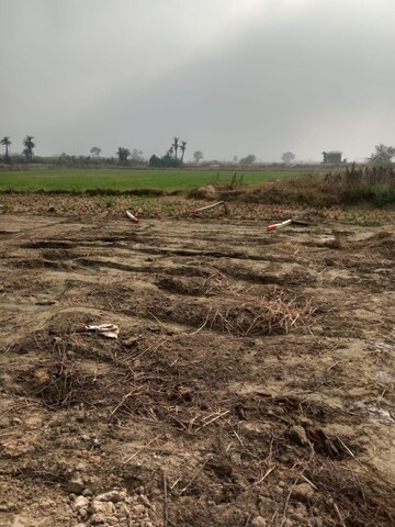 Plot Area in  Plot at Sohna – for Sale