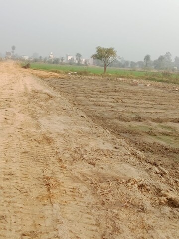 Plot Area in  Plot at Sohna – for Sale