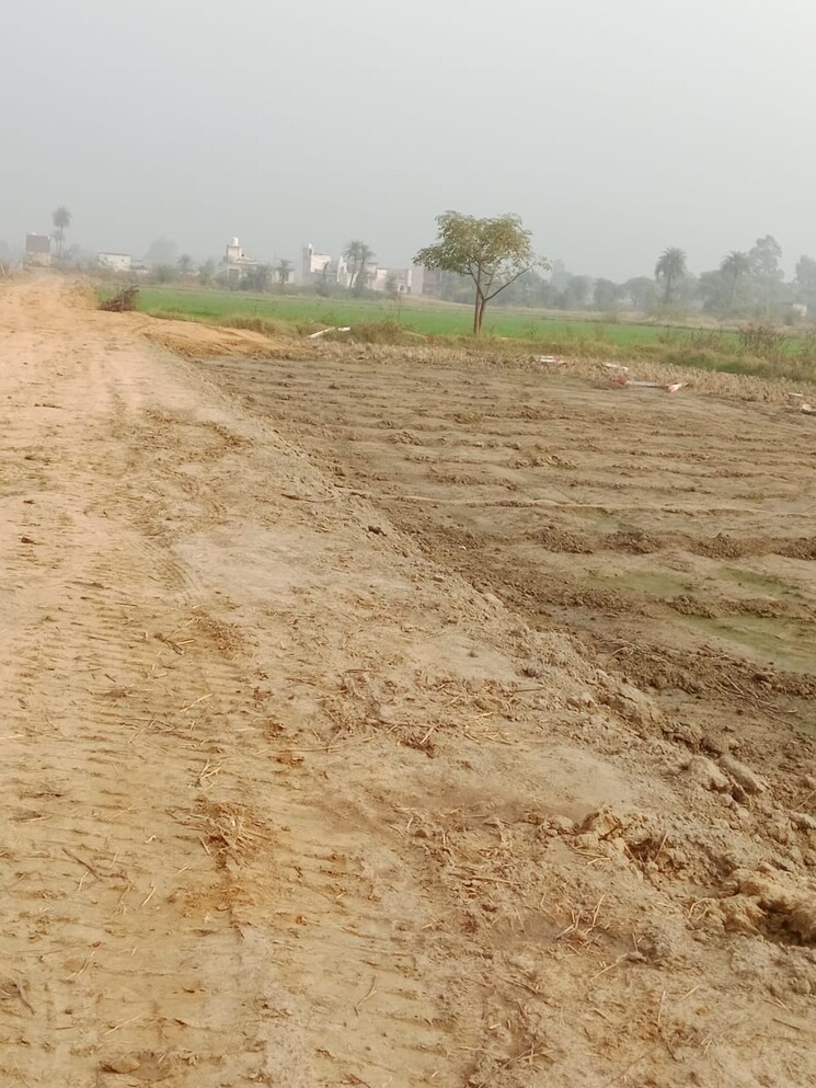 undefined, sohna  50 Sq.Yd. Plot In Sohna Gurgaon 8861319