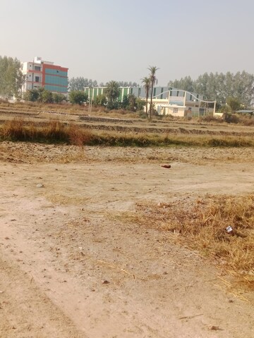 Plot Area in  Plot at Sohna – for Sale
