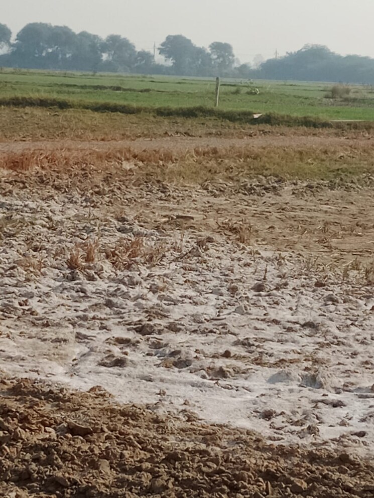 undefined, sohna  50 Sq.Yd. Plot In Sohna Gurgaon 8861319