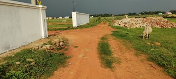 Plot Area in  Plot at Patrapada – for Sale
