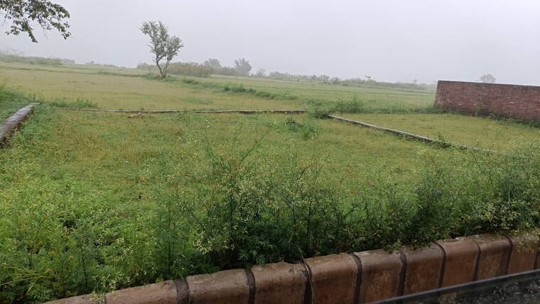 undefined, dehradun cantt  100 Sq.Yd. Plot In Dehradun Cantt Dehradun 8861504