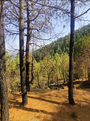 Plot Area in  Plot at Dehradun Cantt – for Sale