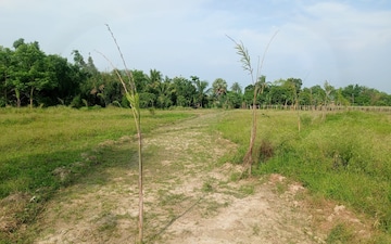 Plot For Sale in Sonarpur